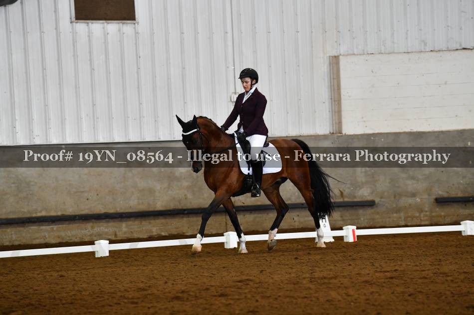 Proof 19YN_08564