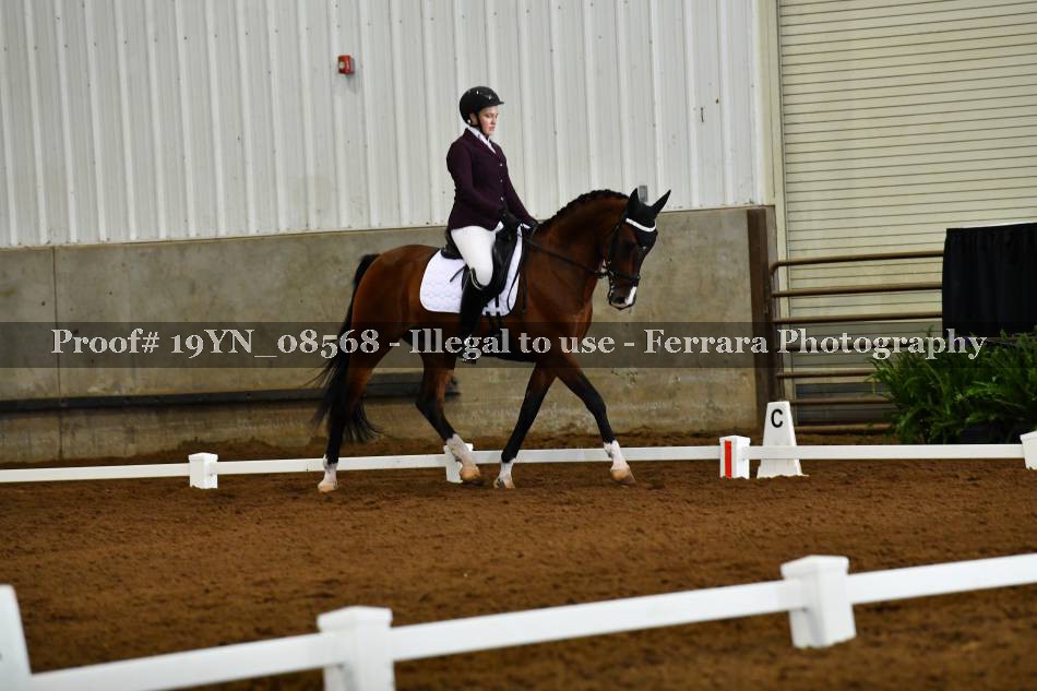 Proof 19YN_08568