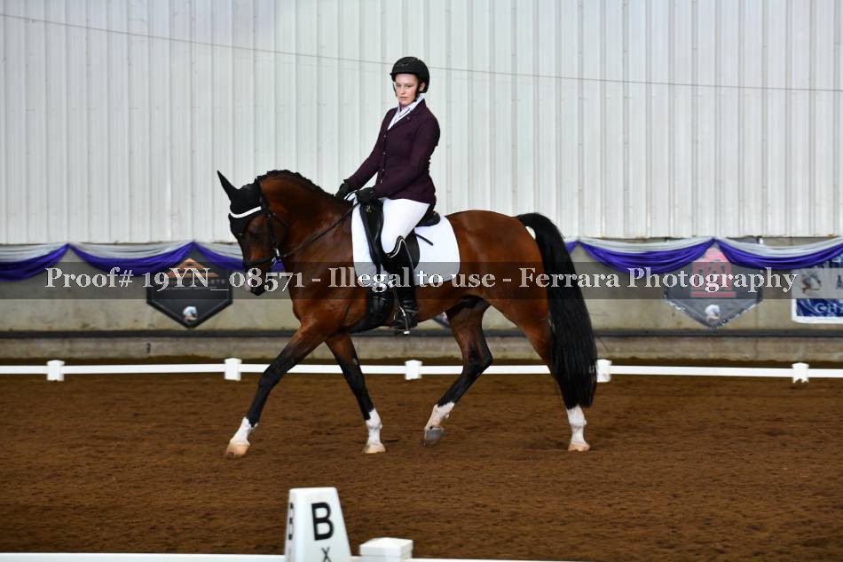 Proof 19YN_08571