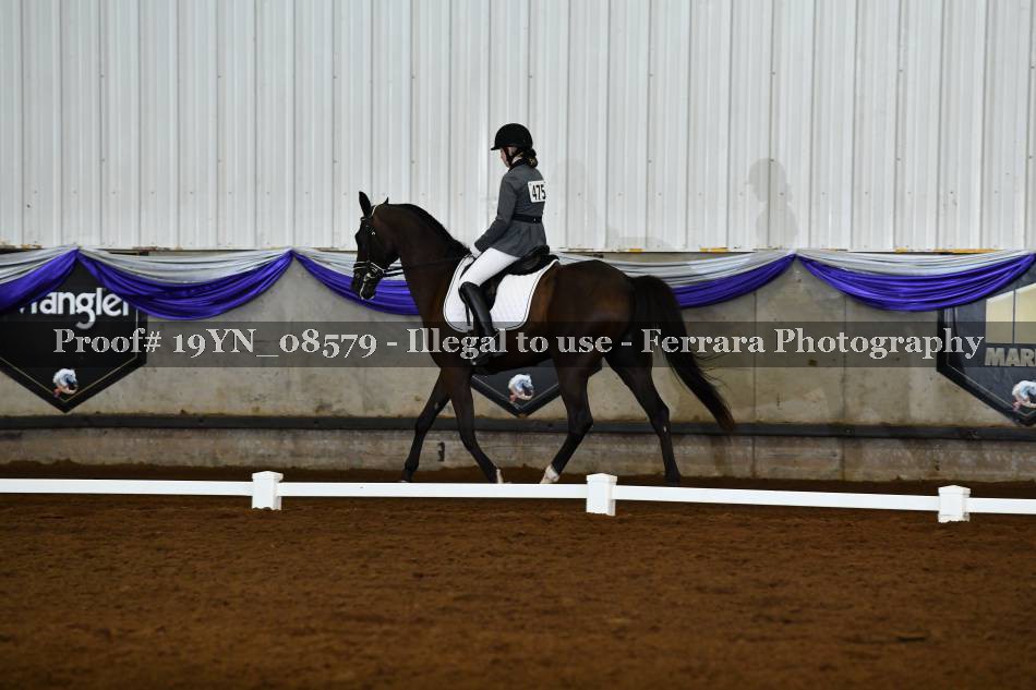 Proof 19YN_08579