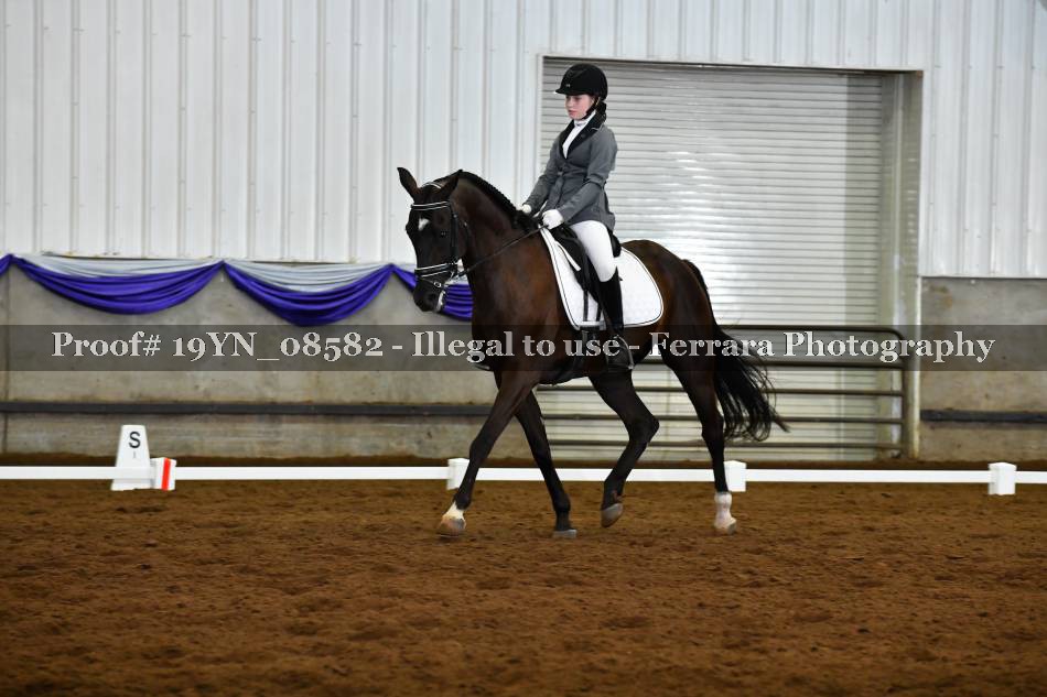 Proof 19YN_08582