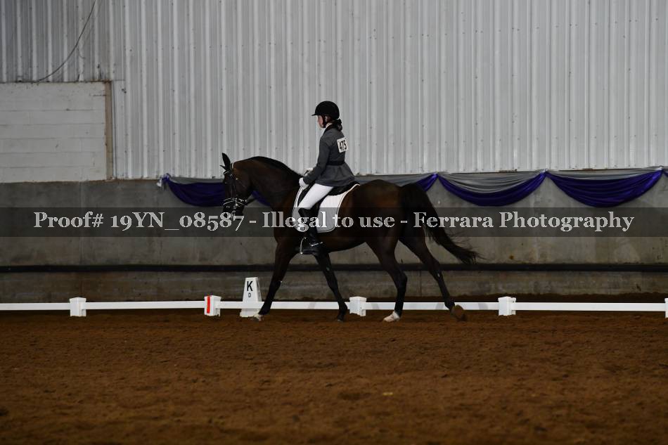 Proof 19YN_08587