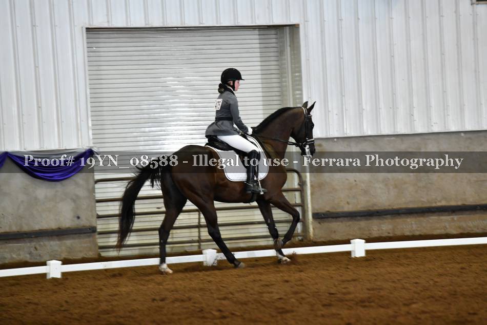 Proof 19YN_08588