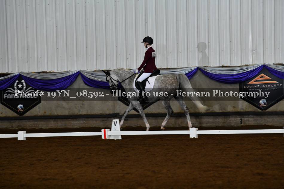 Proof 19YN_08592