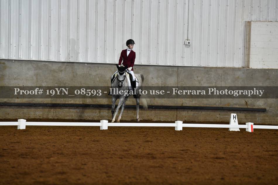 Proof 19YN_08593