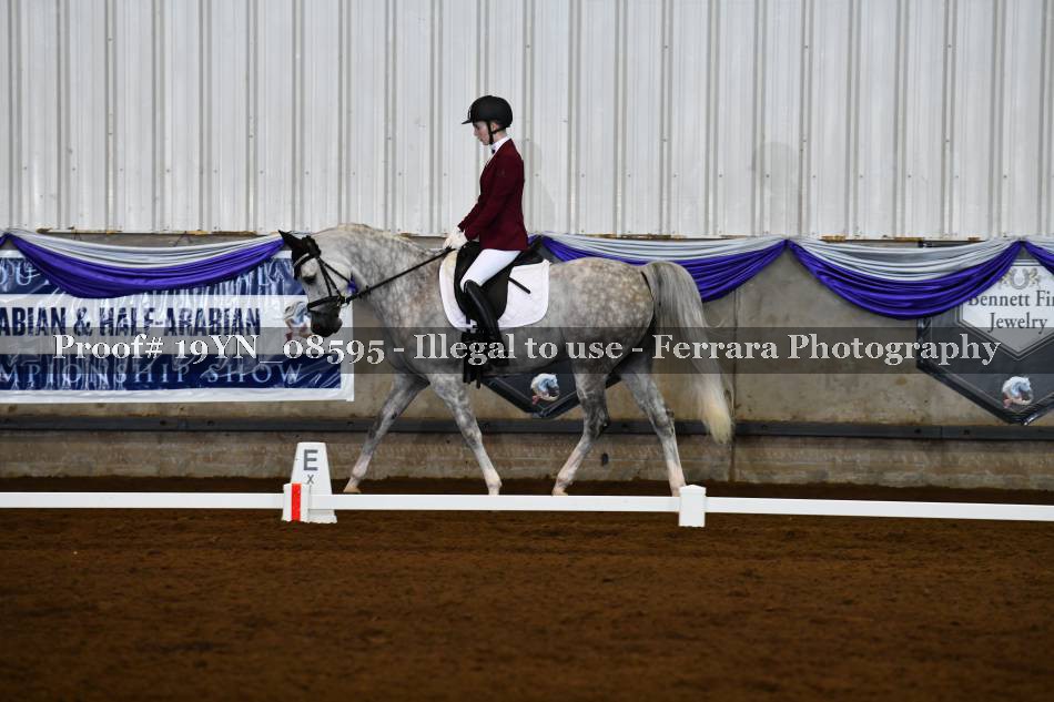 Proof 19YN_08595