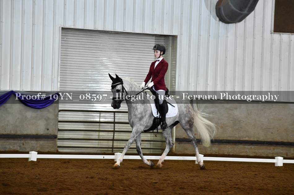 Proof 19YN_08597
