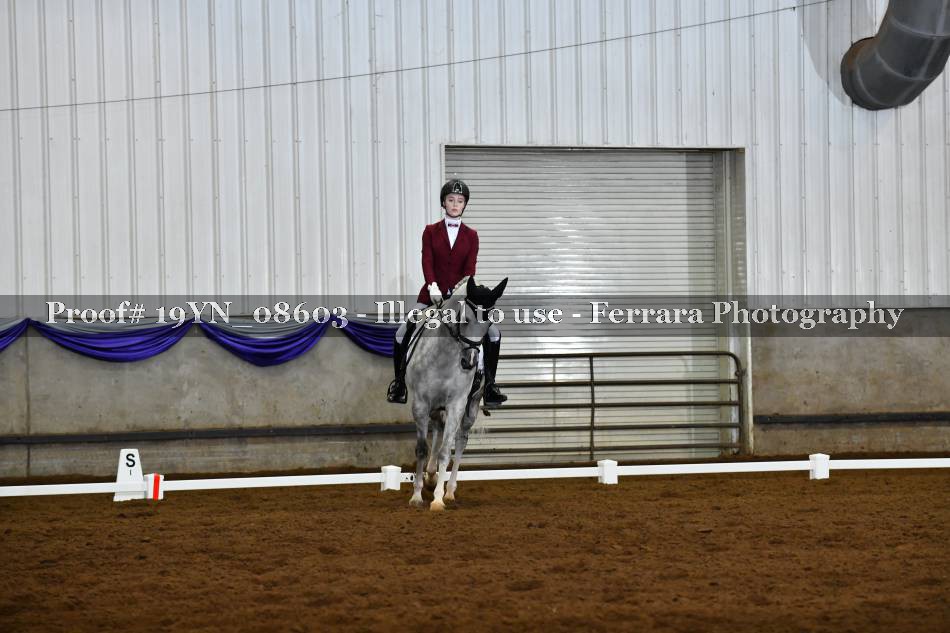 Proof 19YN_08603