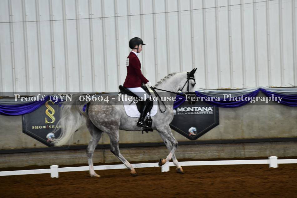 Proof 19YN_08604