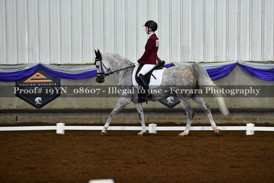 Proof 19YN_08607