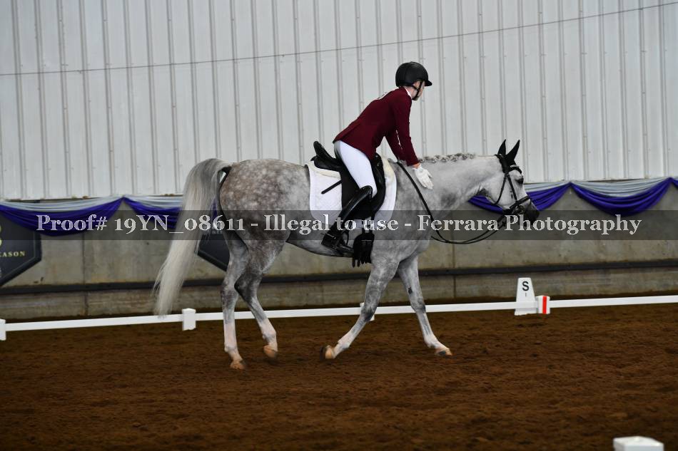 Proof 19YN_08611