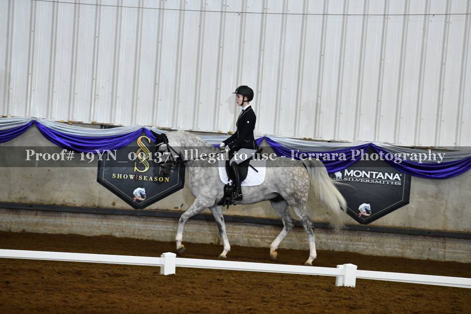 Proof 19YN_09137