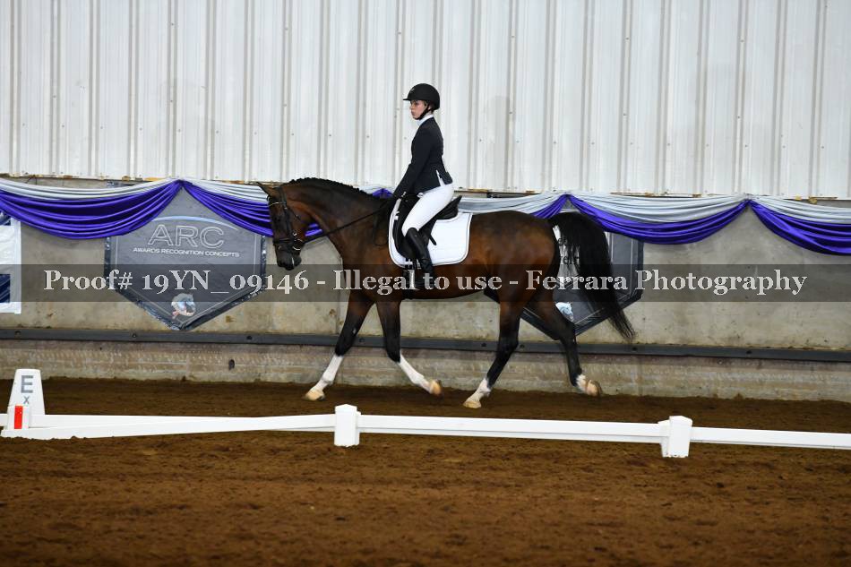 Proof 19YN_09146