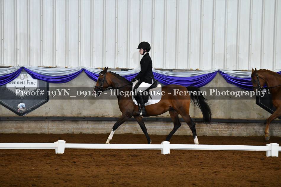 Proof 19YN_09147