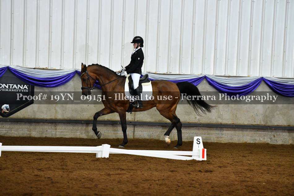 Proof 19YN_09151