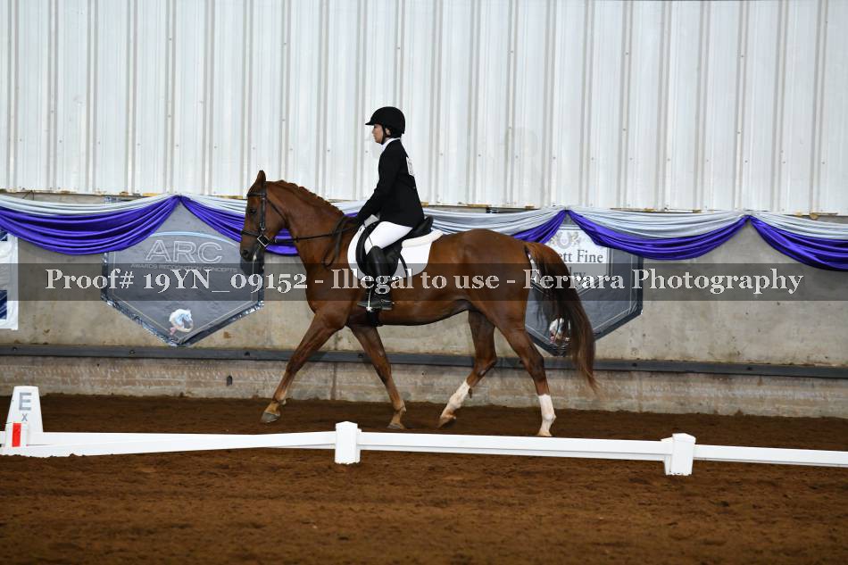 Proof 19YN_09152