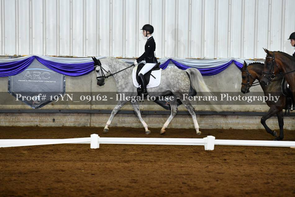 Proof 19YN_09162