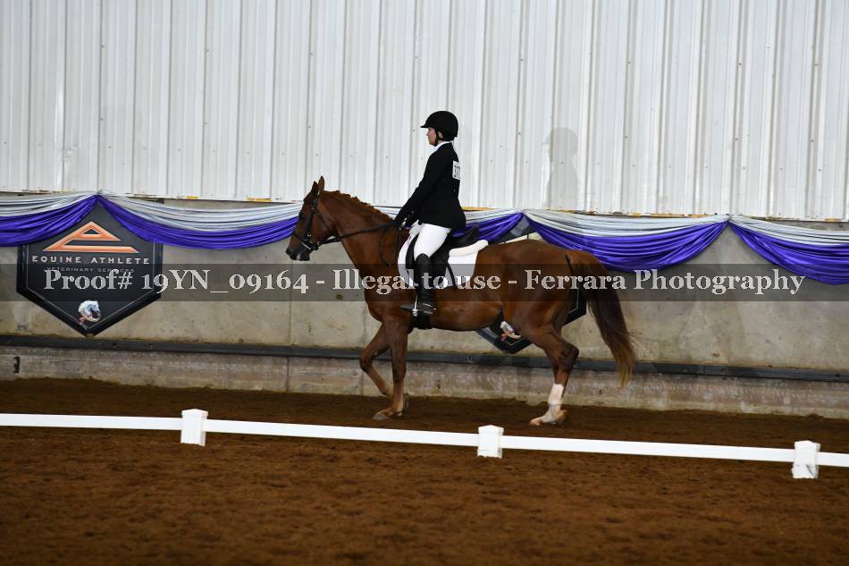 Proof 19YN_09164