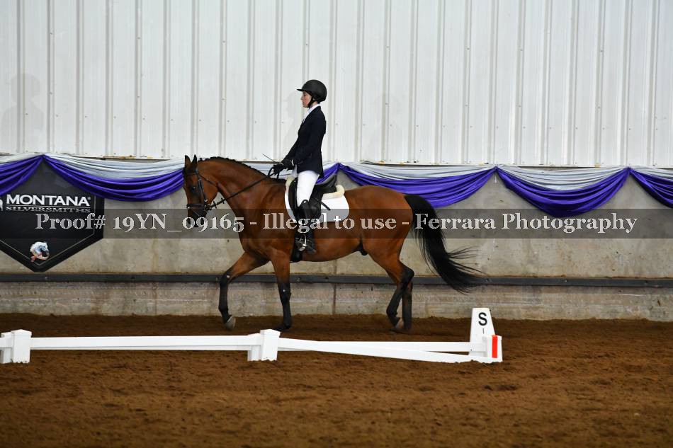 Proof 19YN_09165
