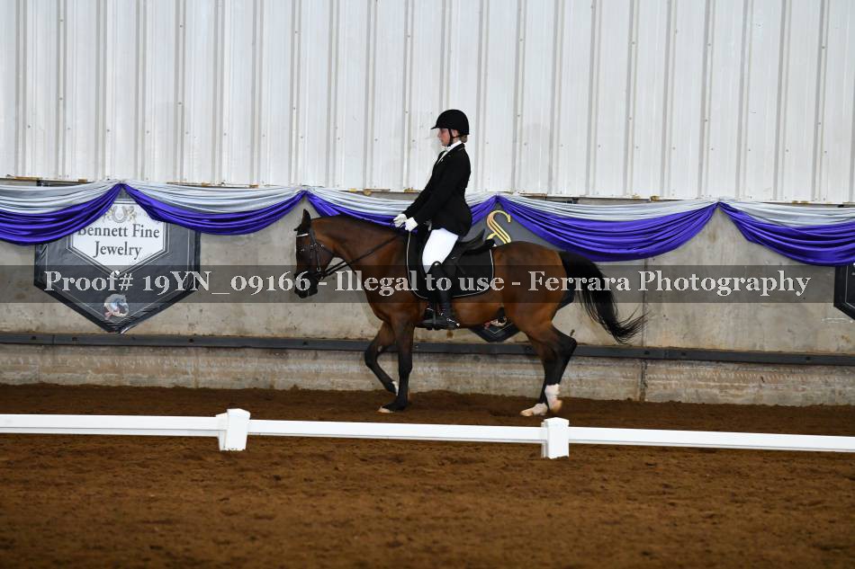 Proof 19YN_09166