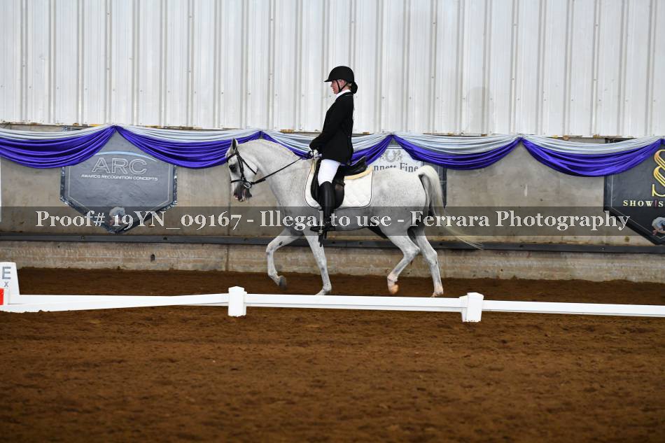 Proof 19YN_09167