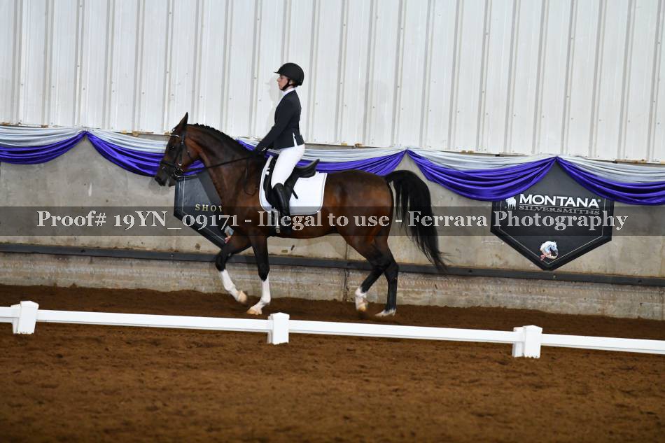 Proof 19YN_09171