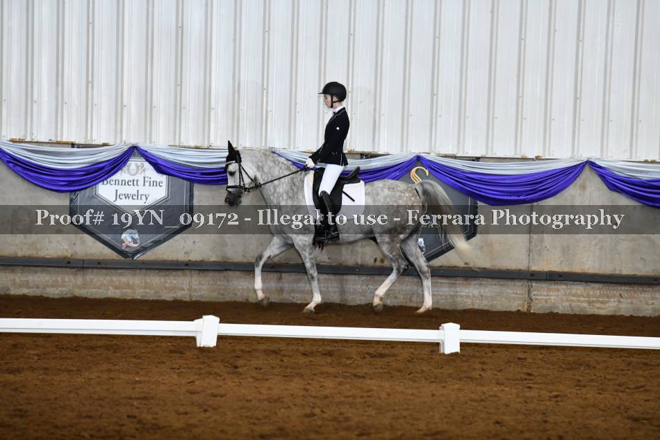 Proof 19YN_09172