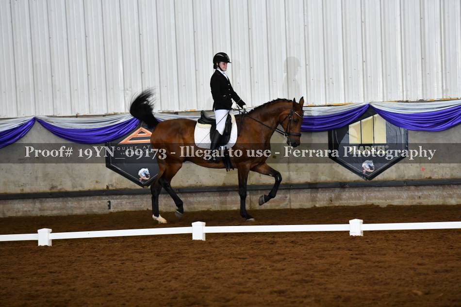 Proof 19YN_09173