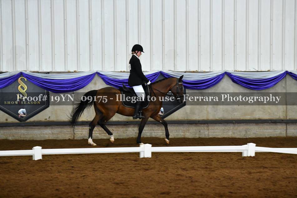 Proof 19YN_09175