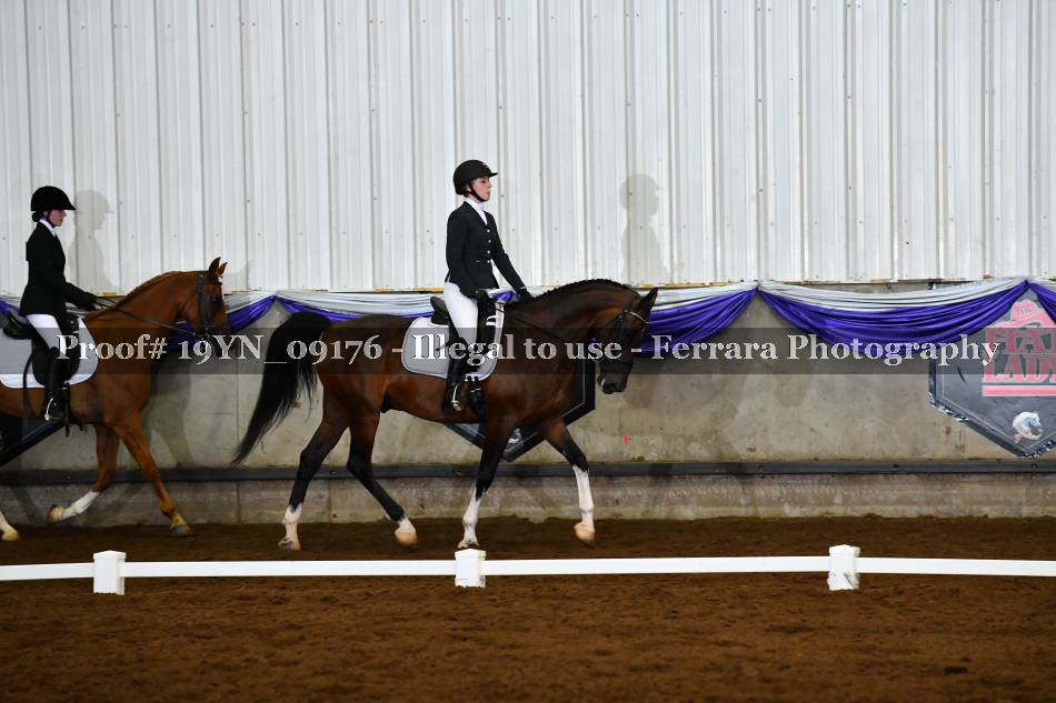 Proof 19YN_09176