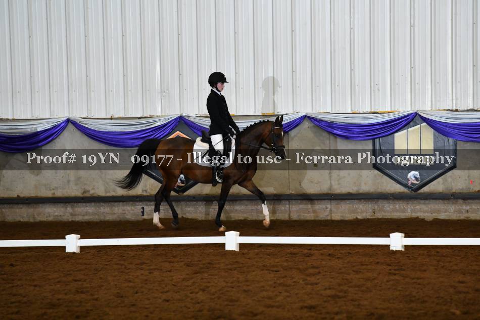Proof 19YN_09177