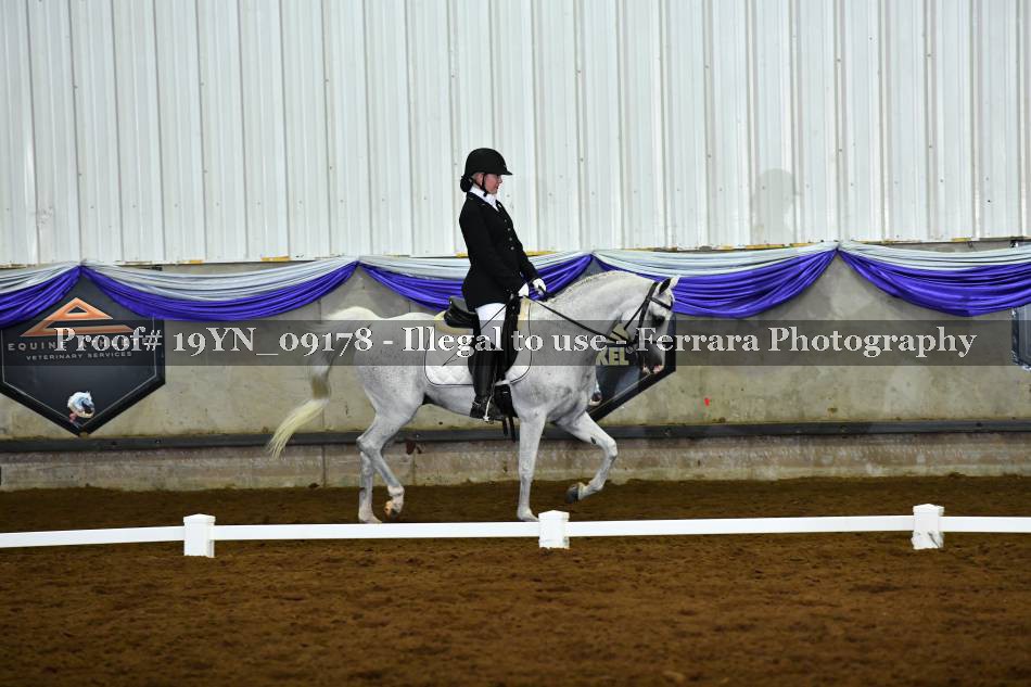 Proof 19YN_09178