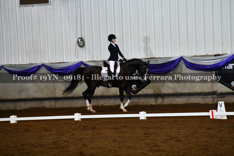 Proof 19YN_09181