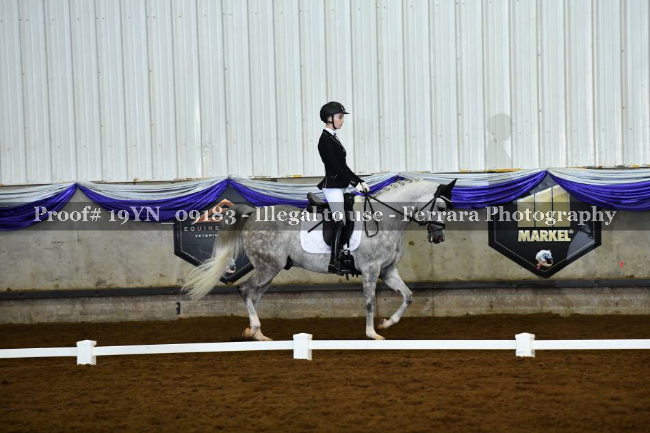 Proof 19YN_09183