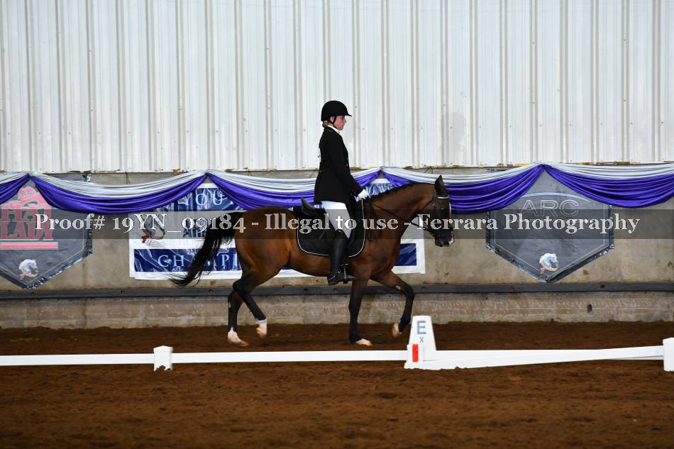 Proof 19YN_09184