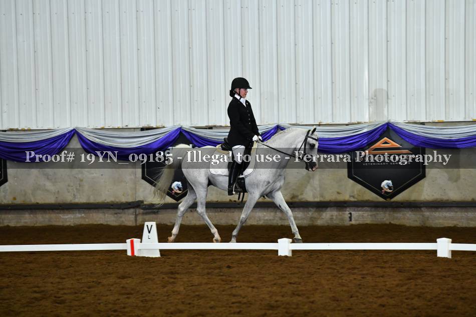 Proof 19YN_09185
