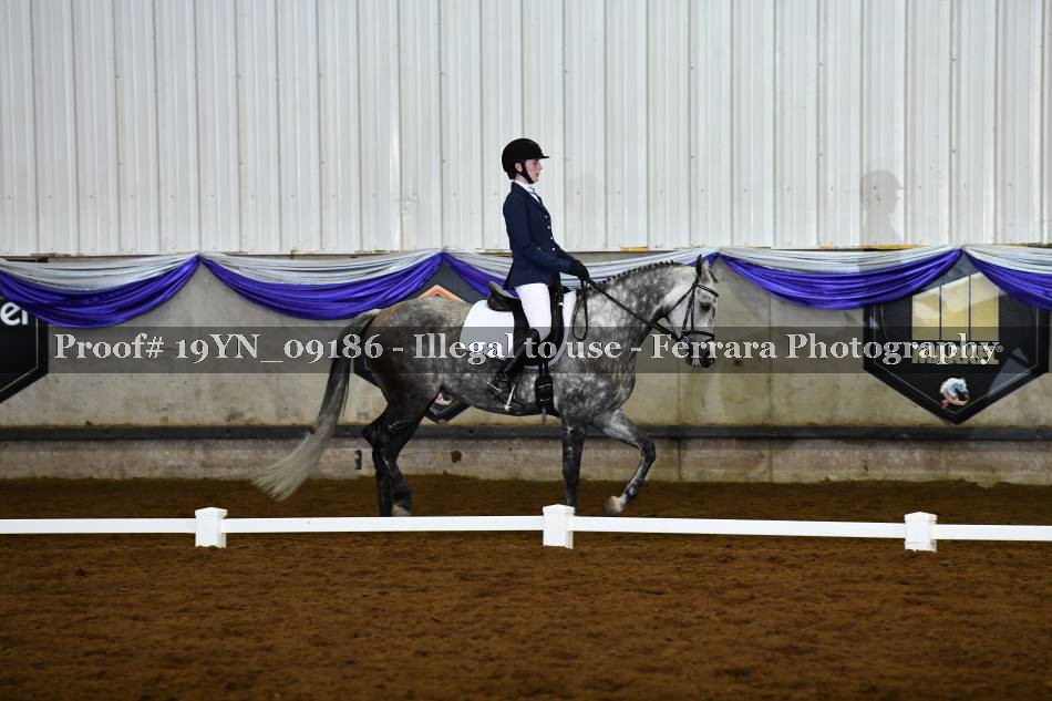 Proof 19YN_09186