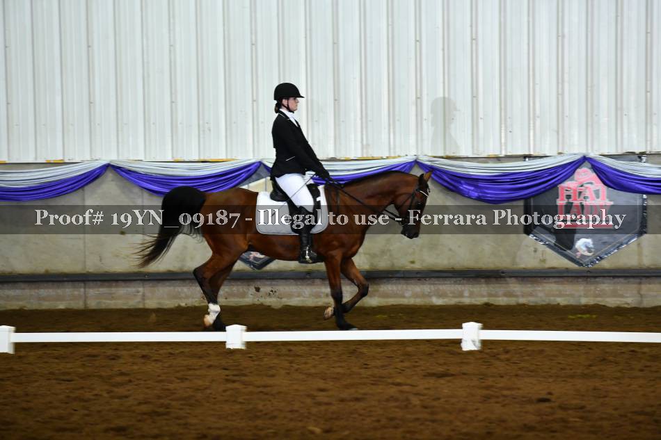 Proof 19YN_09187