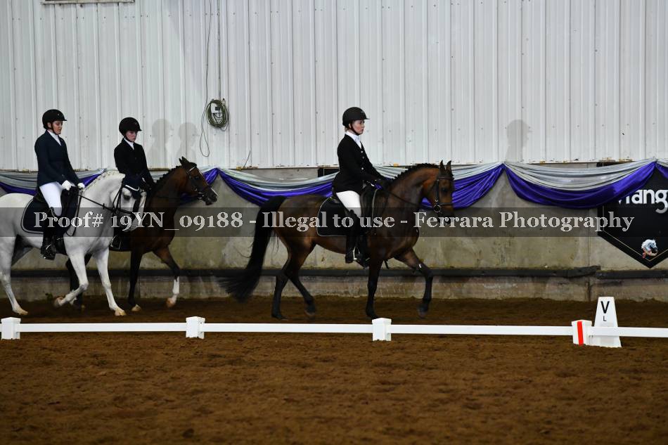 Proof 19YN_09188