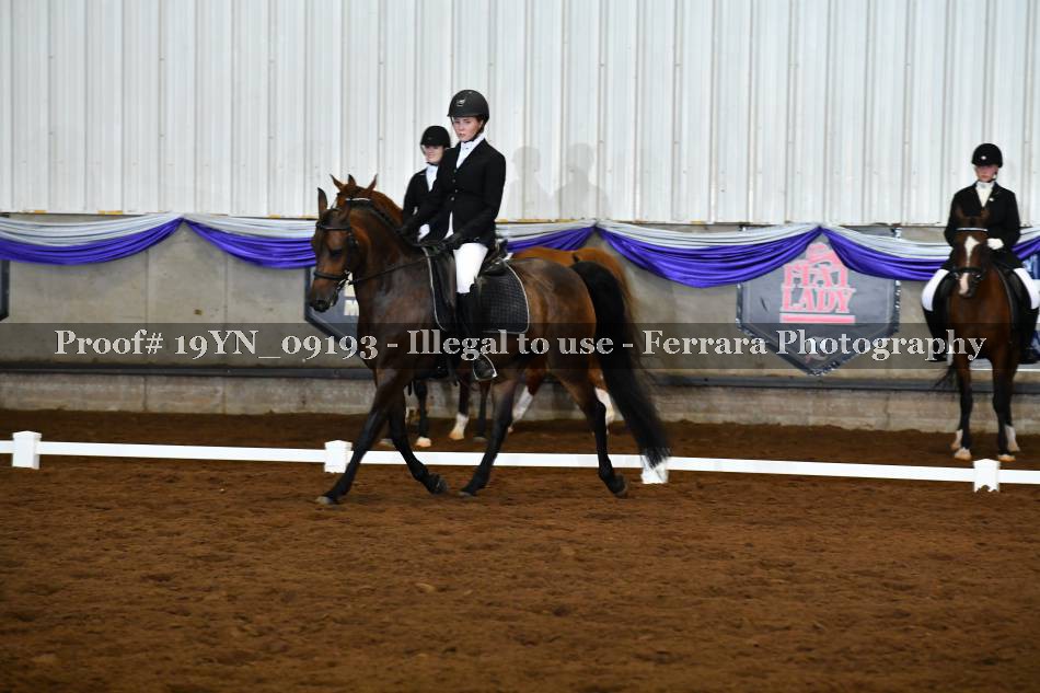 Proof 19YN_09193