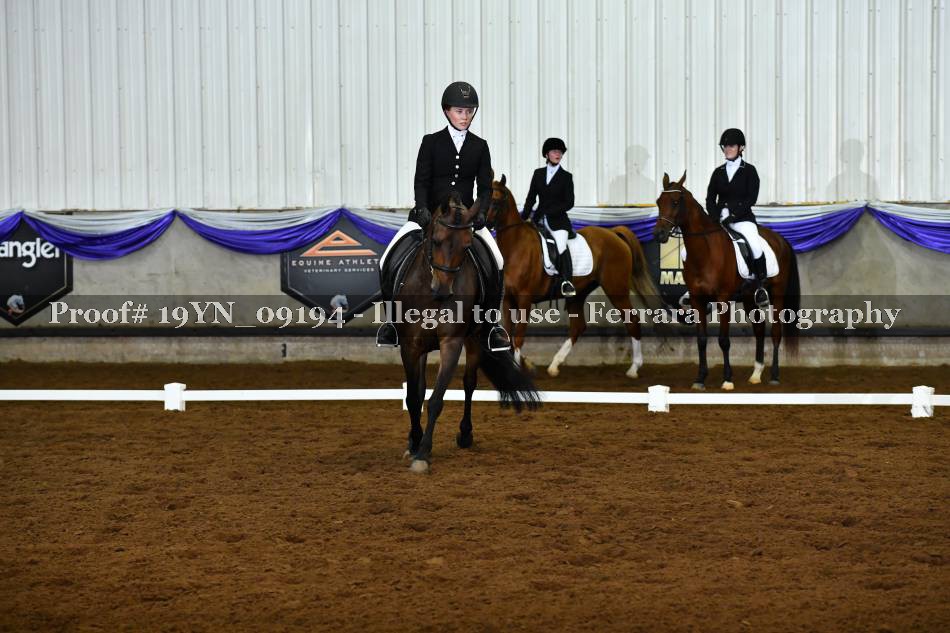 Proof 19YN_09194
