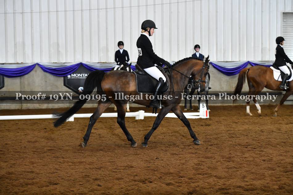 Proof 19YN_09195