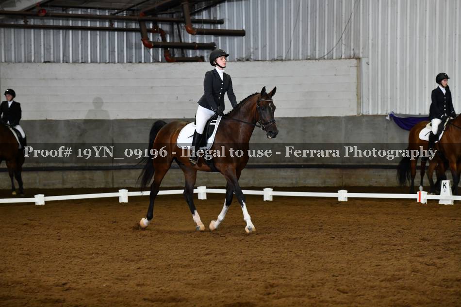 Proof 19YN_09196