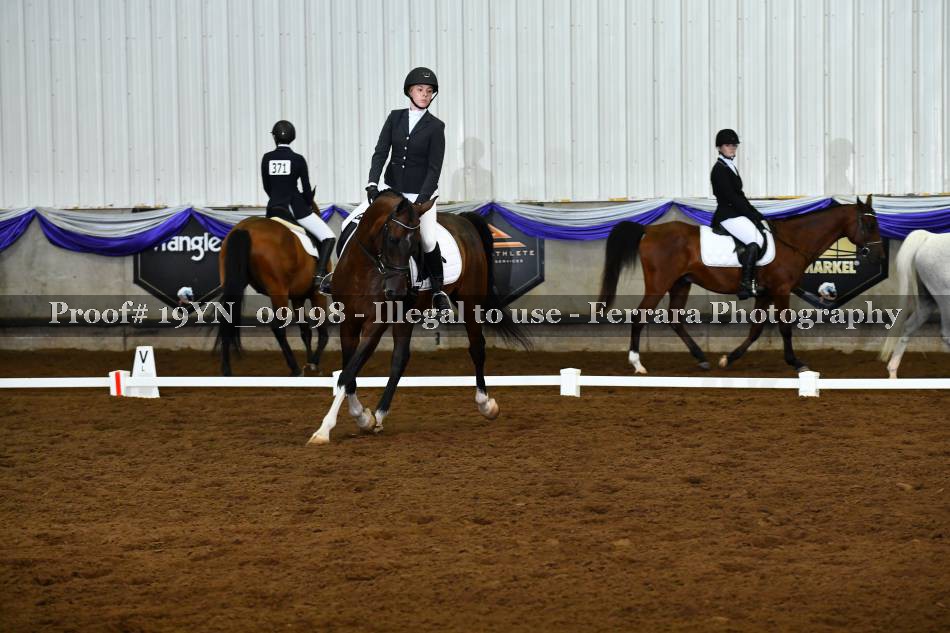 Proof 19YN_09198