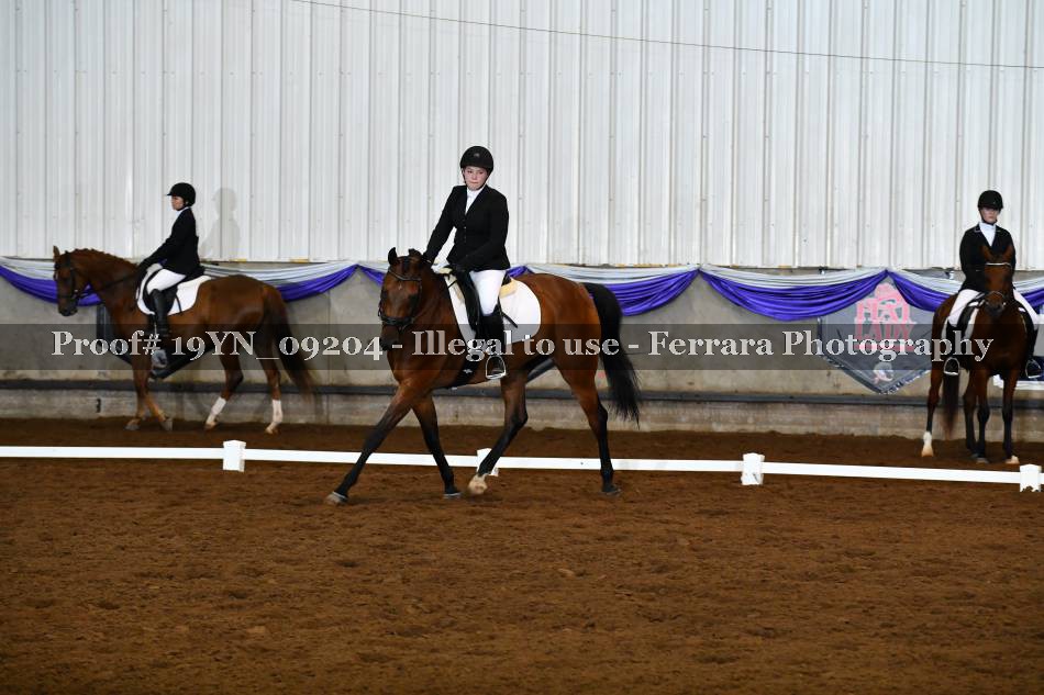 Proof 19YN_09204