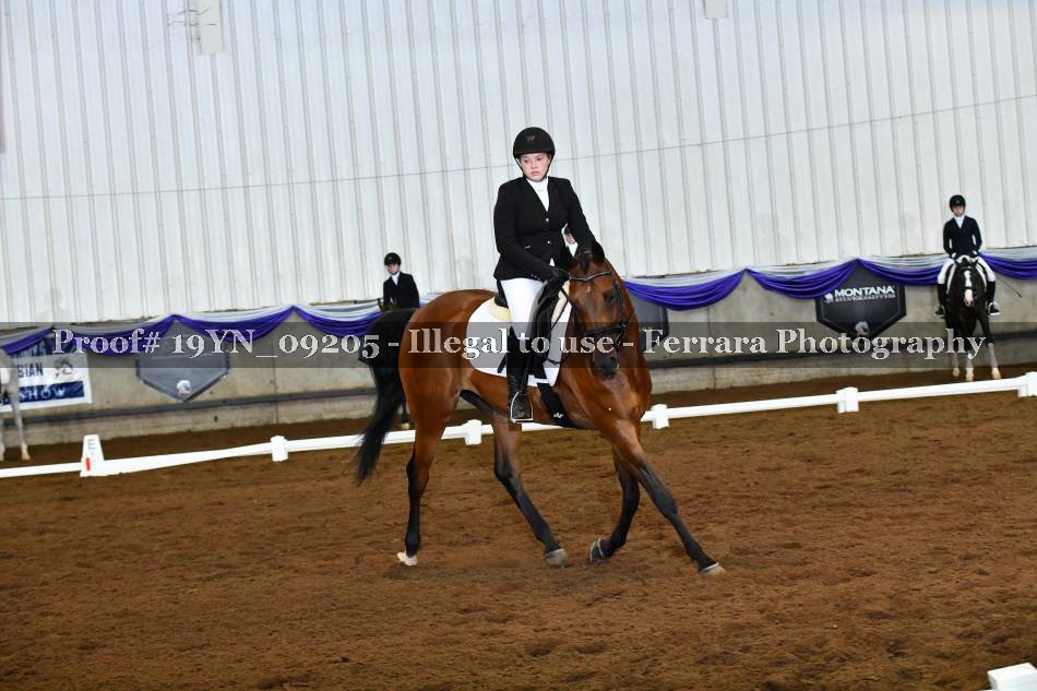 Proof 19YN_09205