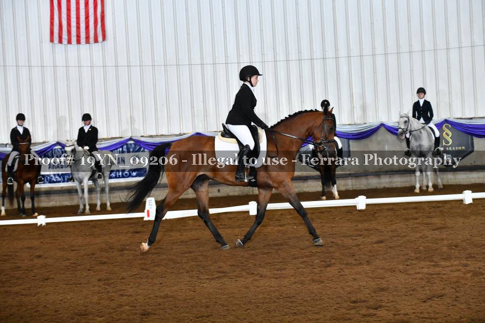 Proof 19YN_09206