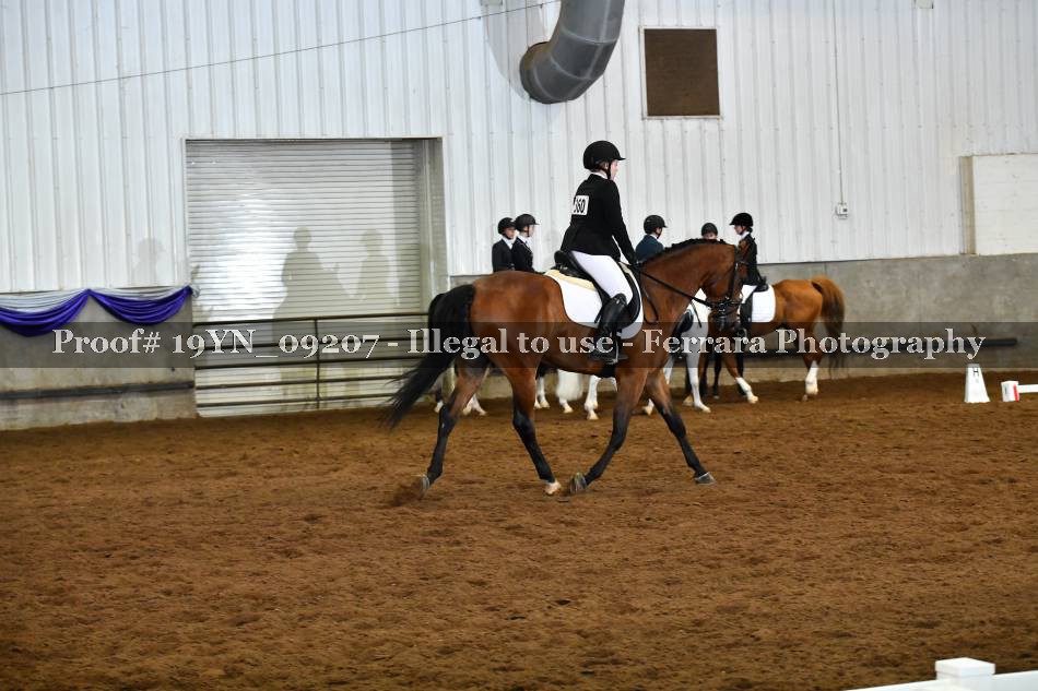 Proof 19YN_09207