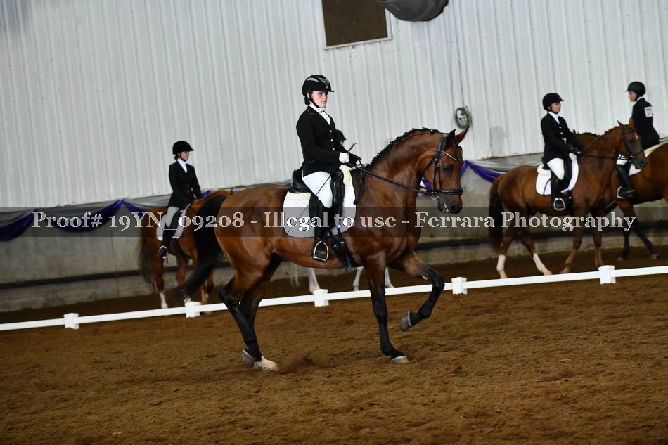 Proof 19YN_09208