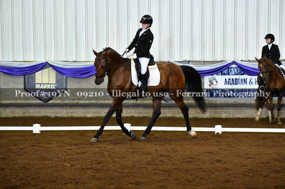 Proof 19YN_09210